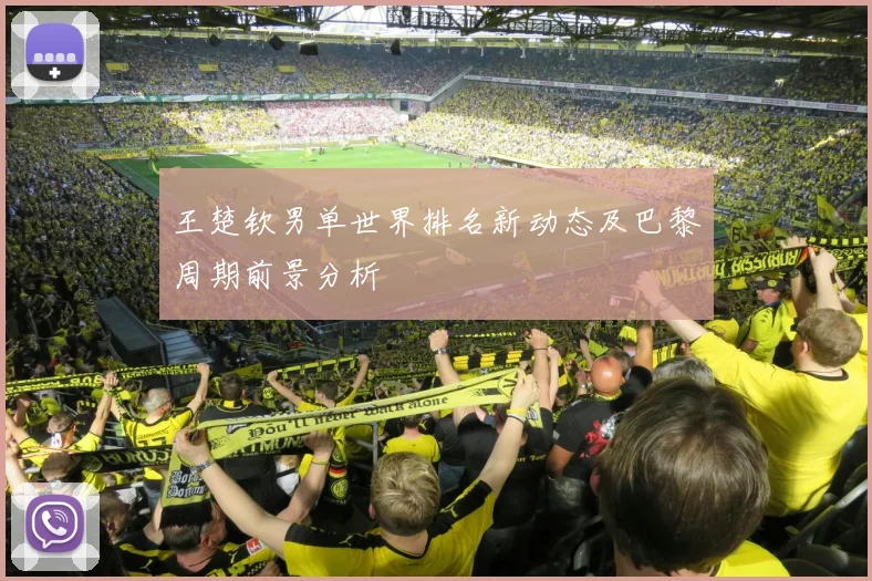 王楚钦男单世界排名新动态及巴黎周期前景分析